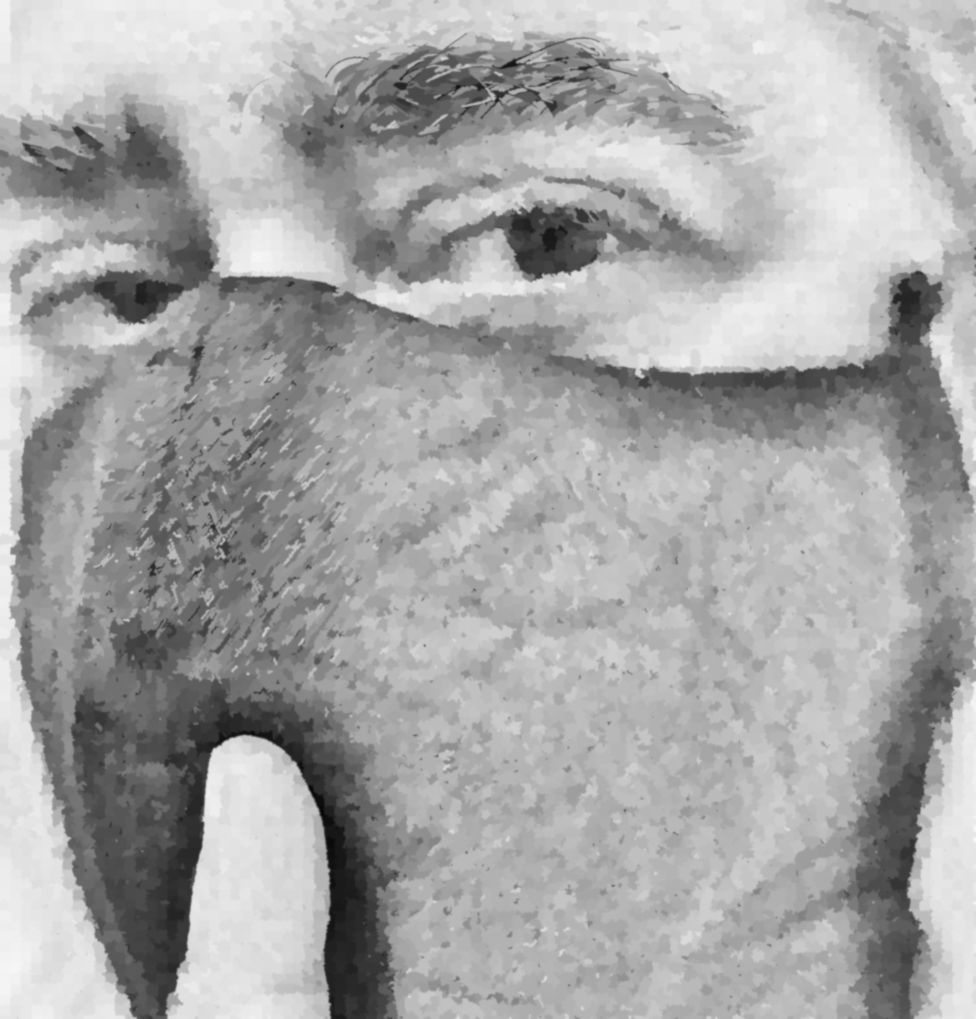 Profile image of lonewolfbr