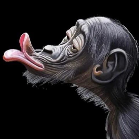 Profile image of moustache59