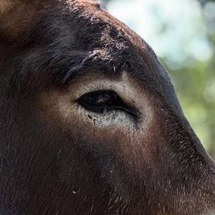 Profile image of mvoyeur1