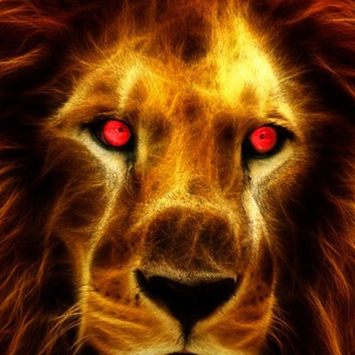 Profile image of nounours112