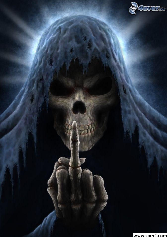 Profile image of nt77