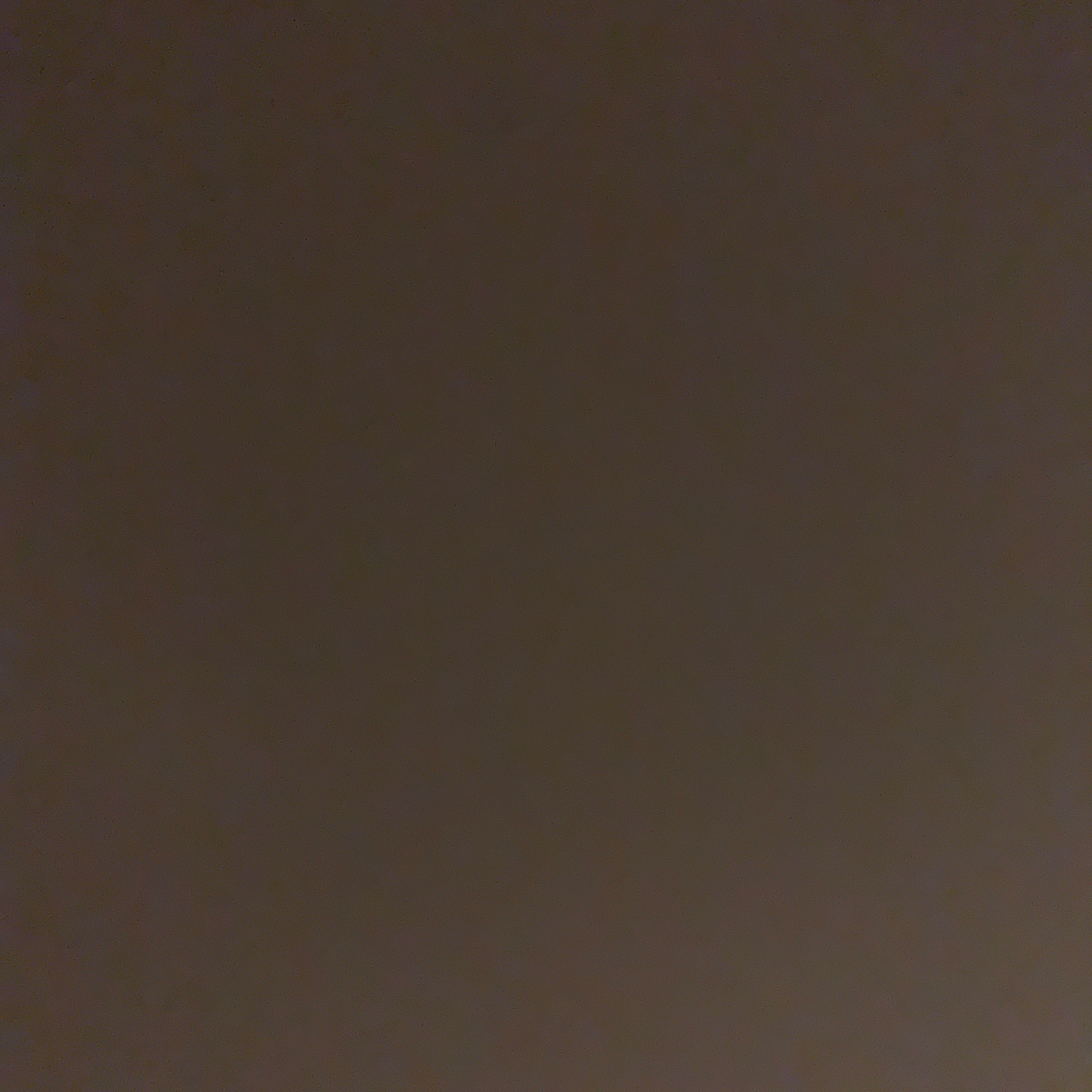 Profile image of onlyanalfm