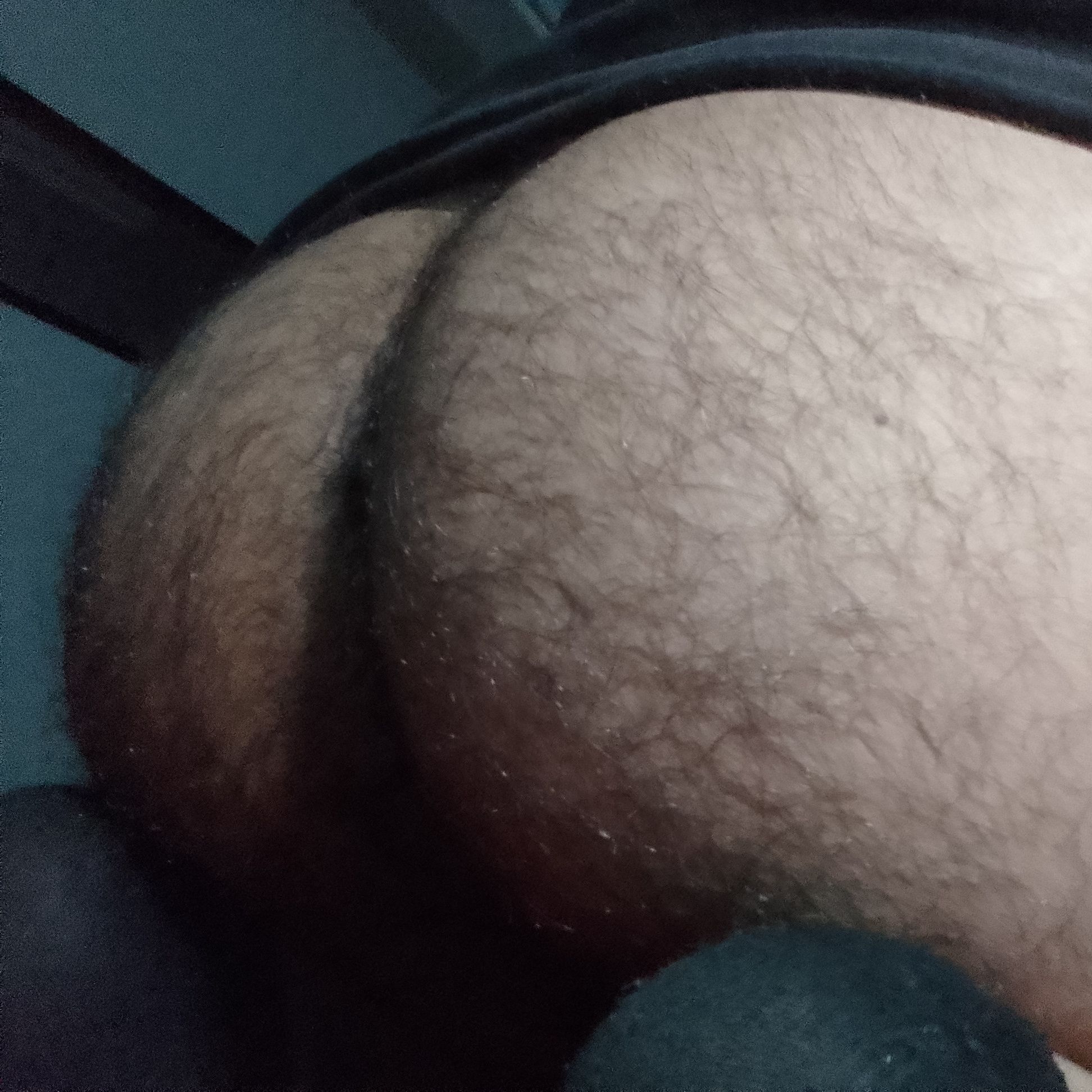 Profile image of orgasman5