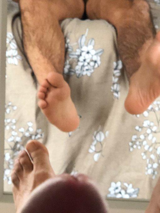 Profile image of pedrofrance2