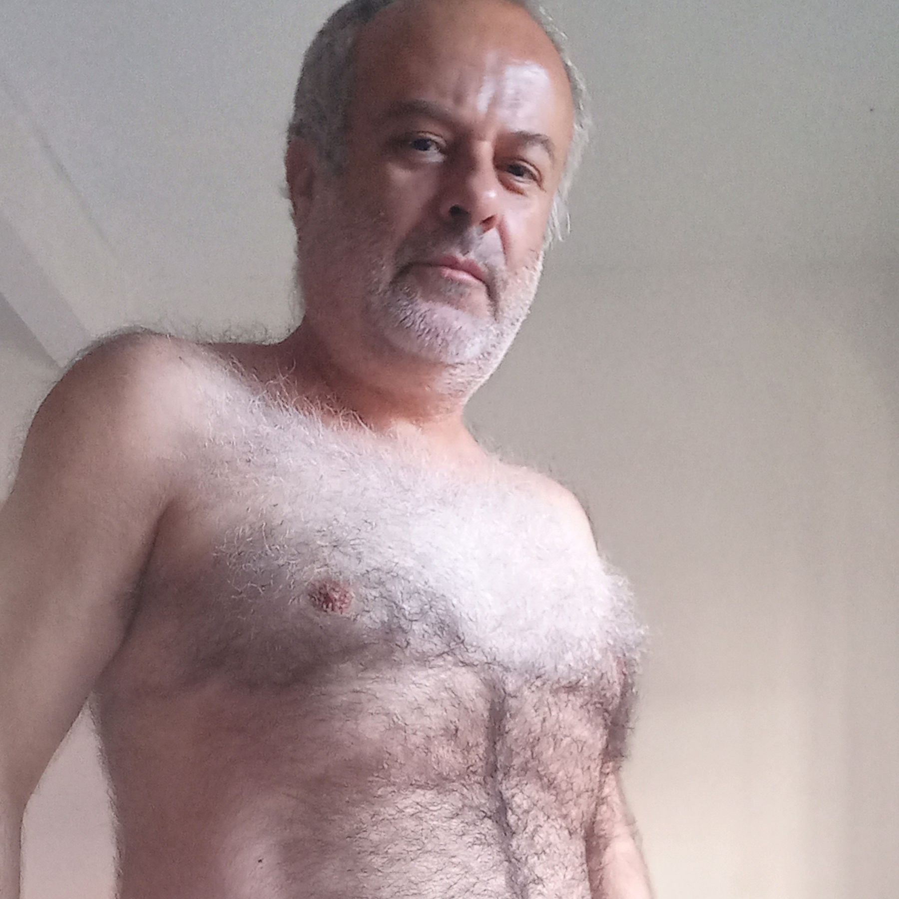 Profile image of peludo50bigode