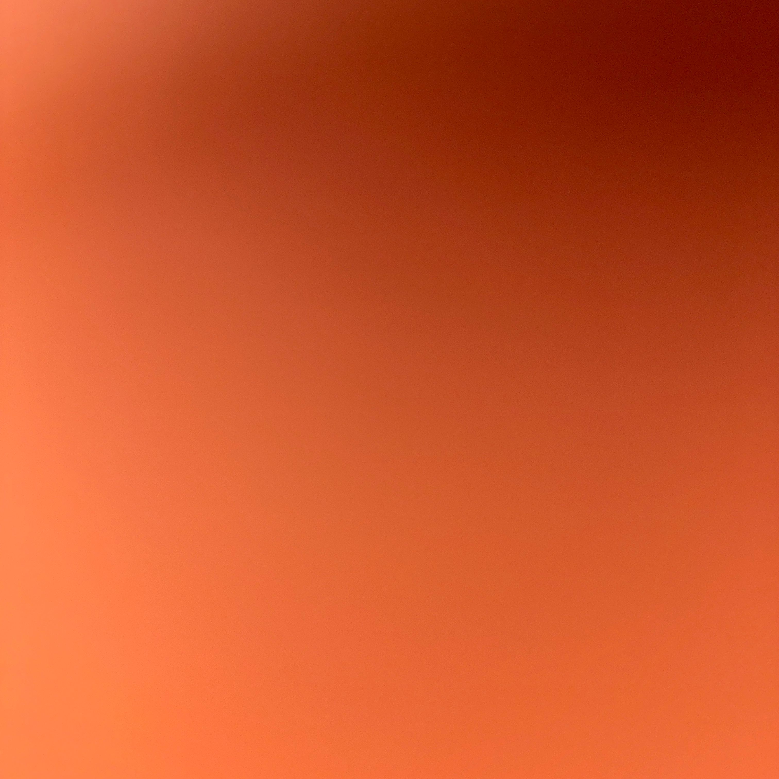 Profile image of pepebiondi_9