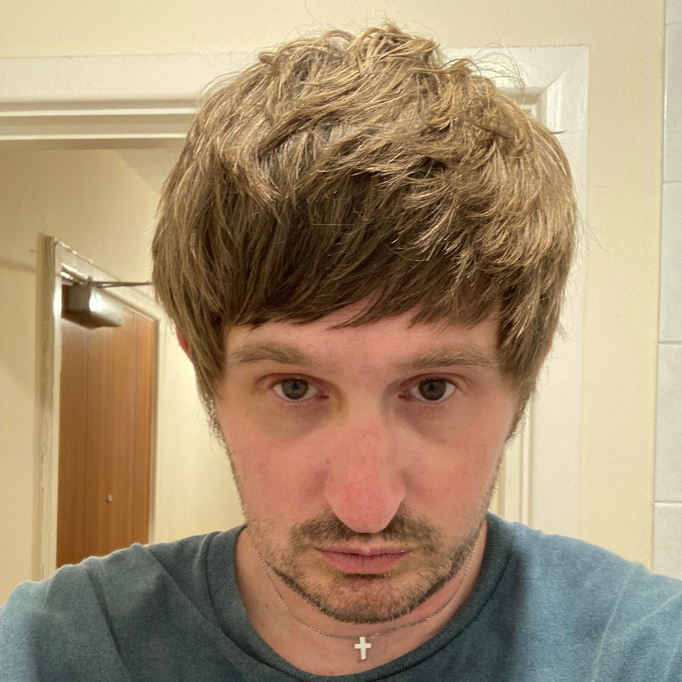 Profile image of picassosparrot3