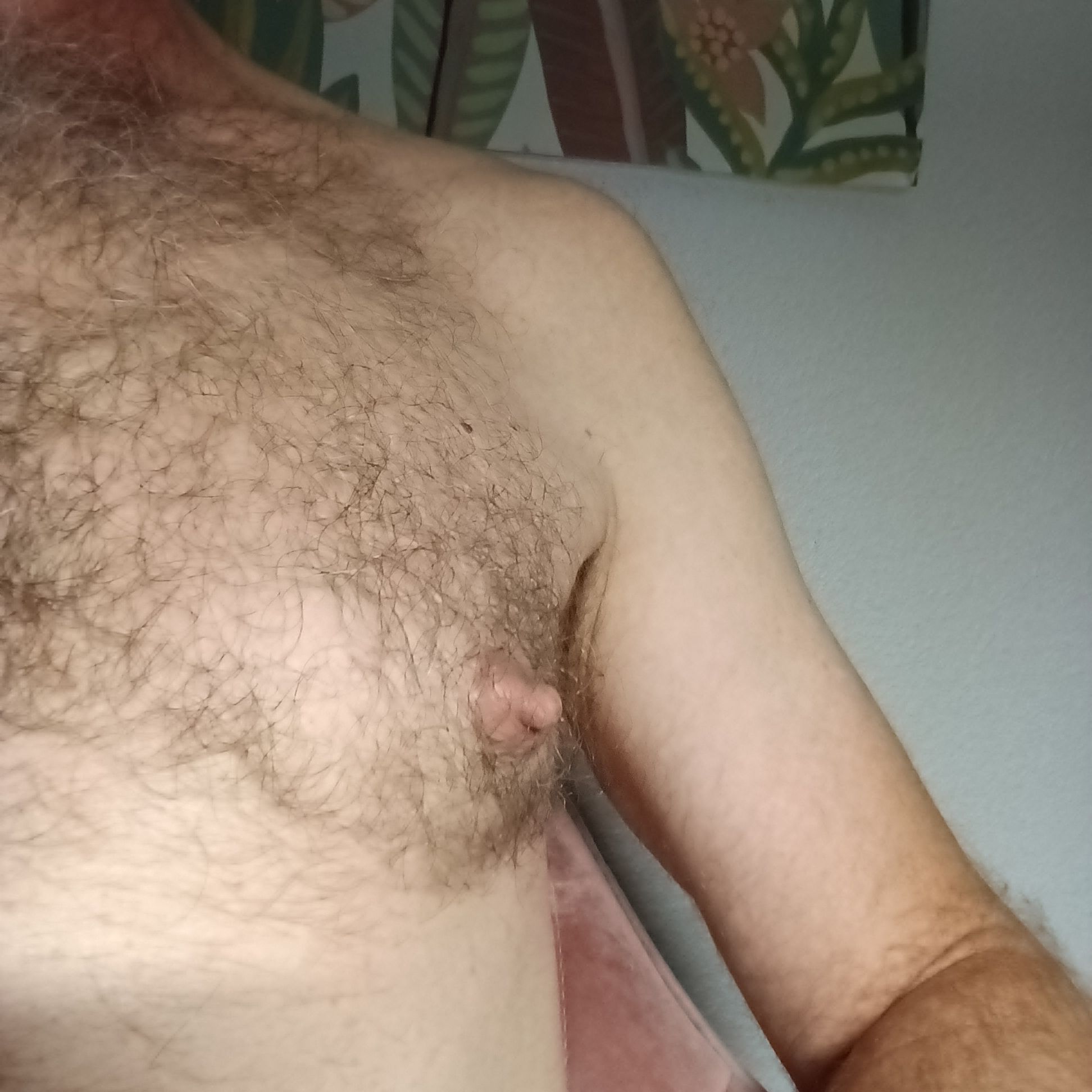 Profile image of pirimorbo44
