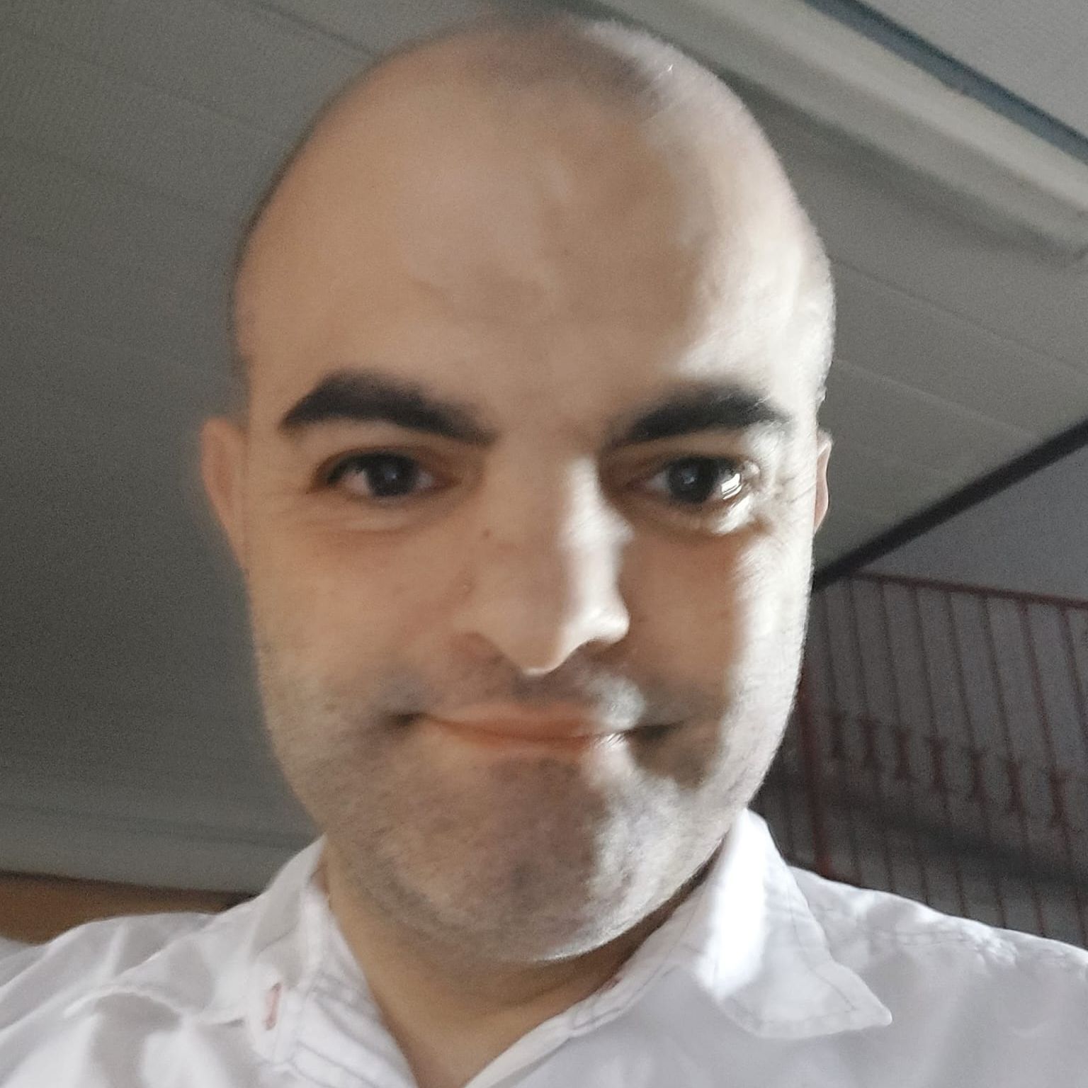 Profile image of porcone774