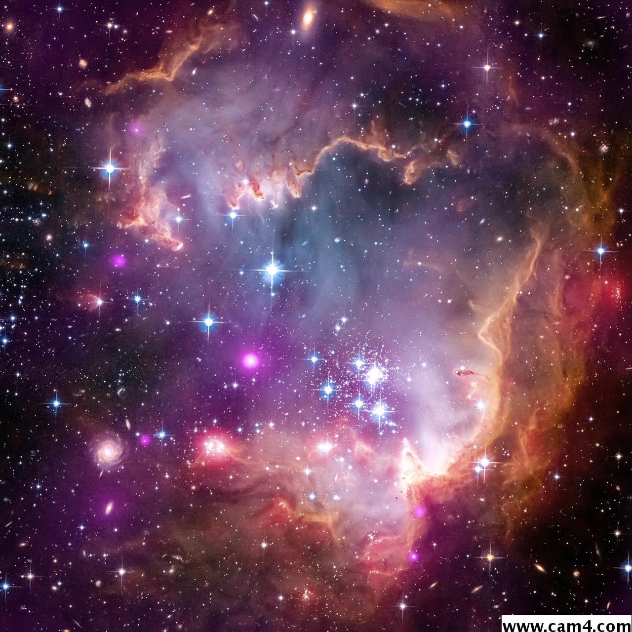Profile image of puov1