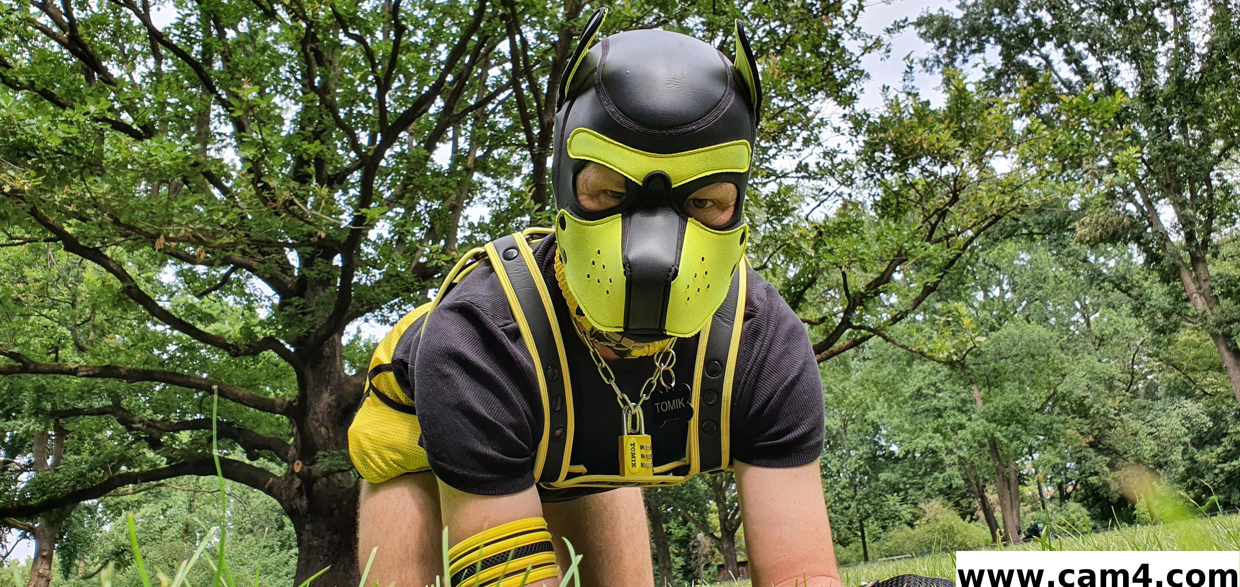 Profile image of puppy_tomik