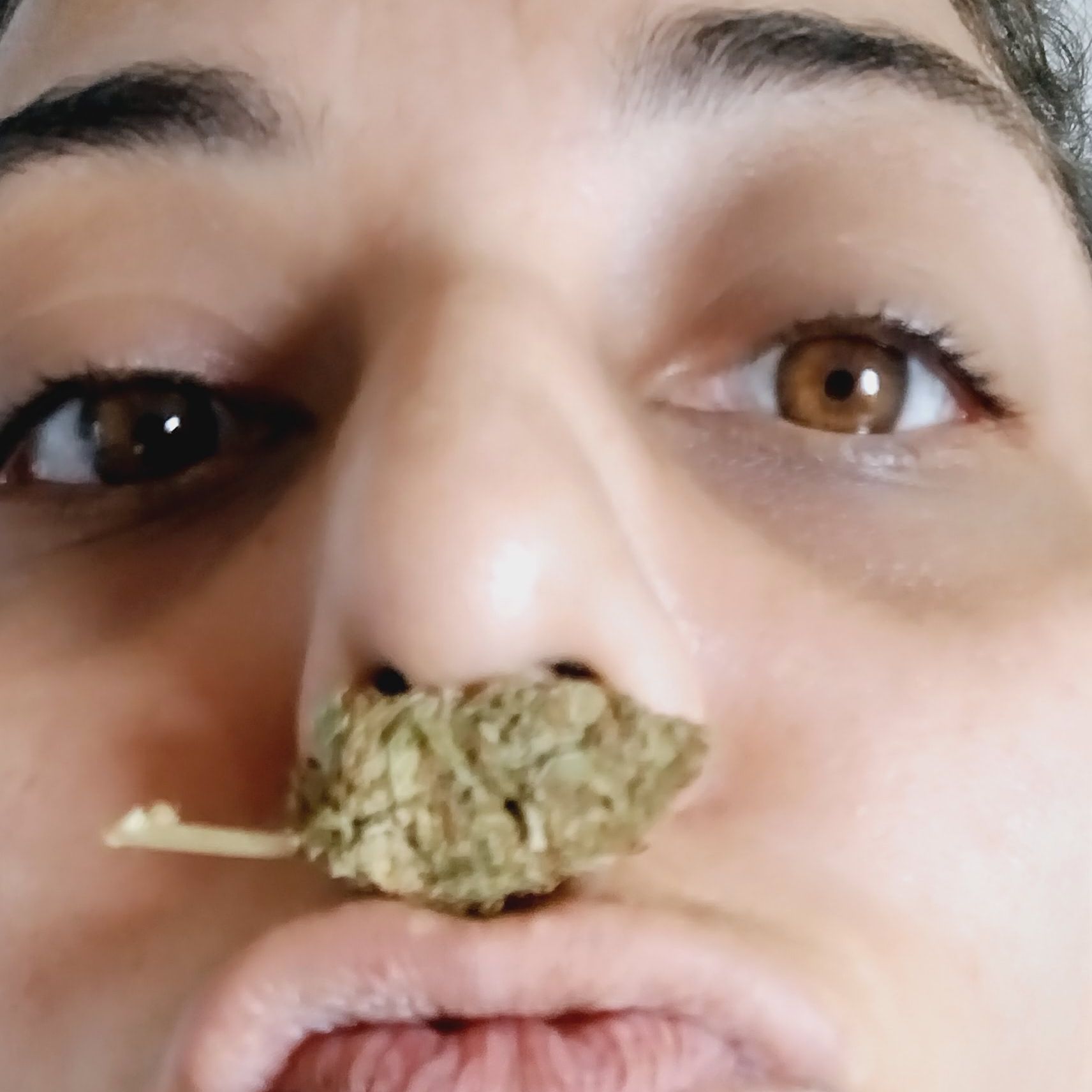 Profile image of rachelass1