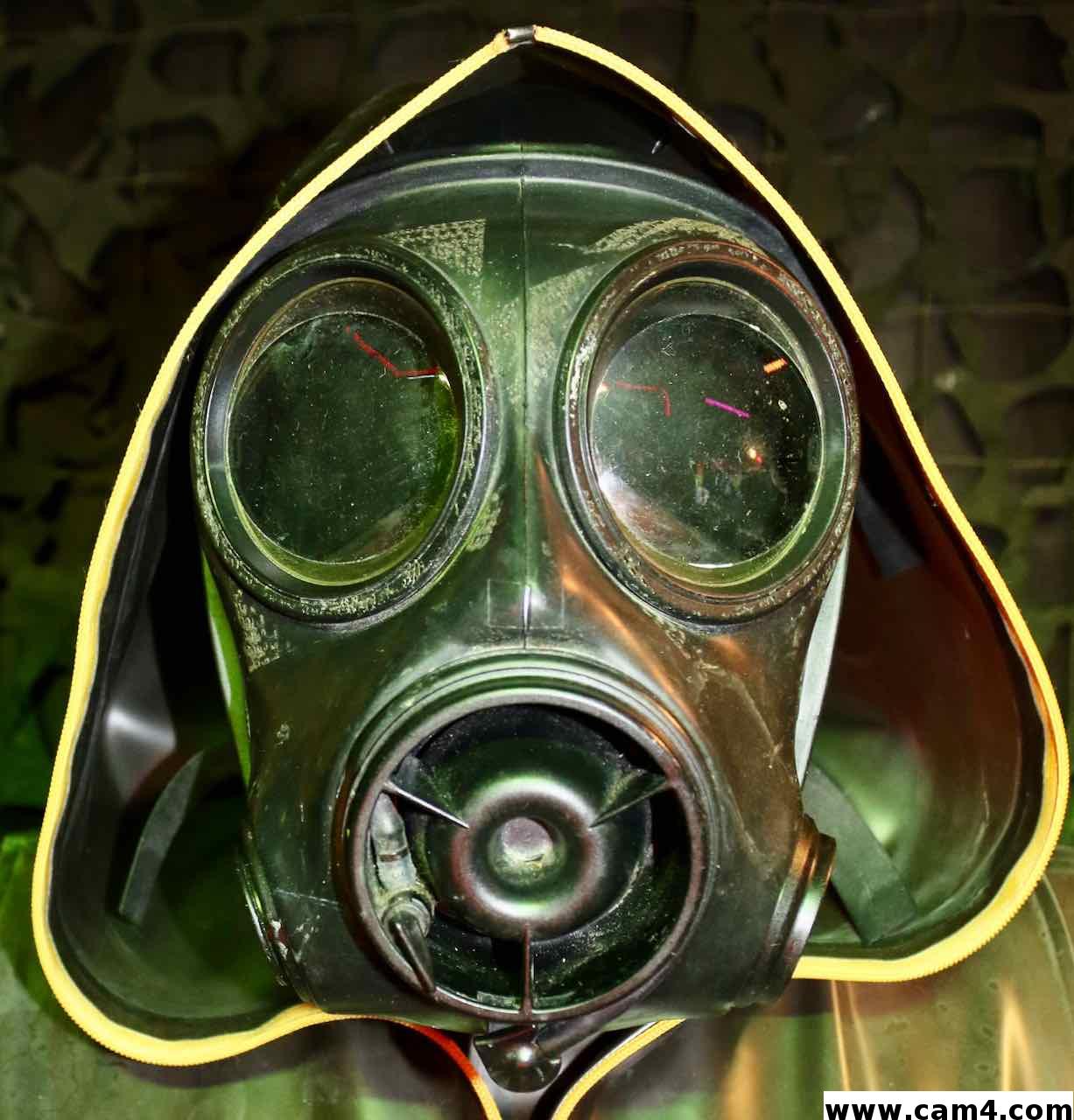 Profile image of rbrboi