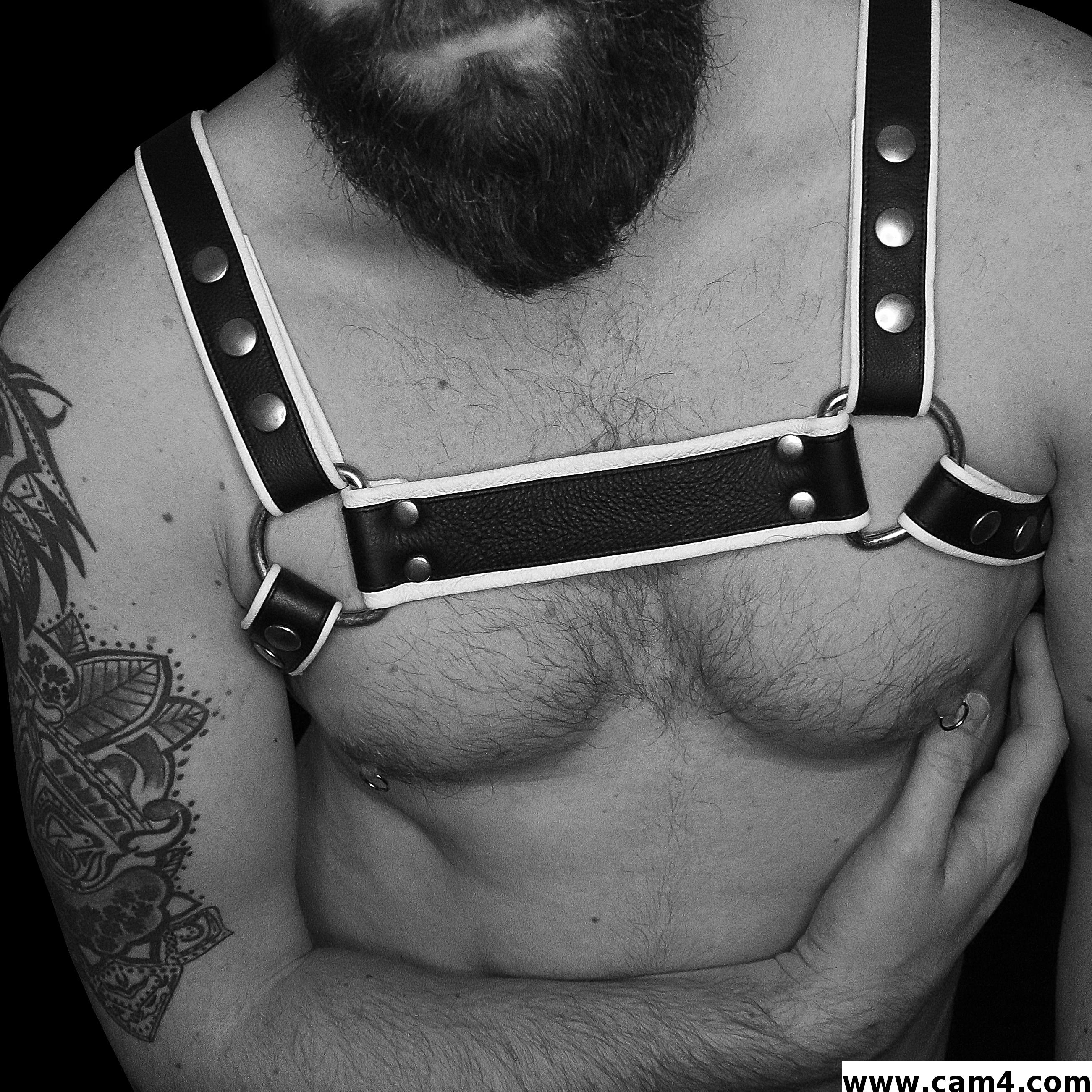 Profile image of redbearded