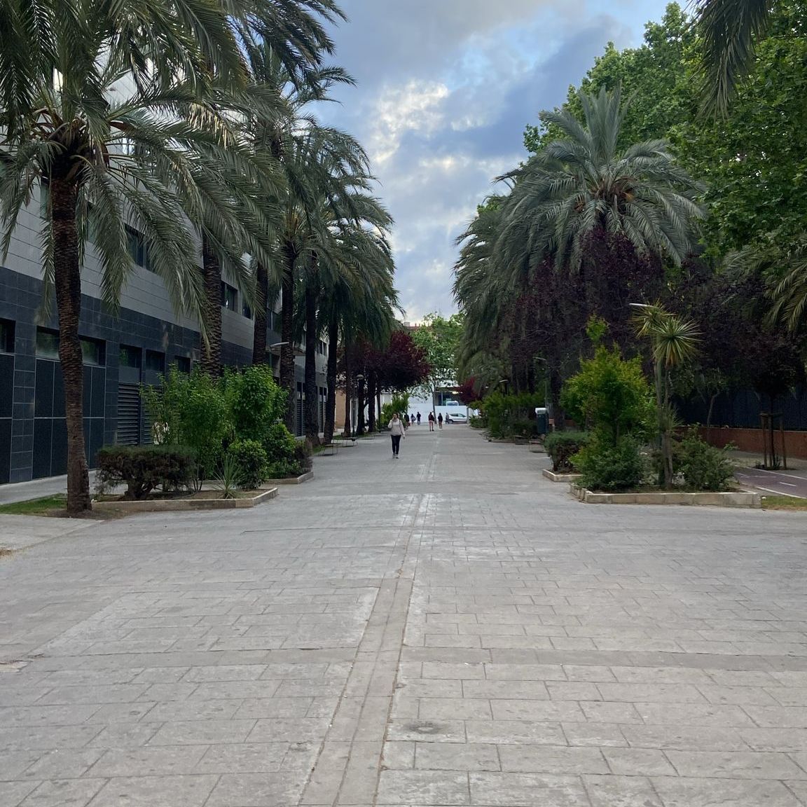 Profile image of reycarlos1