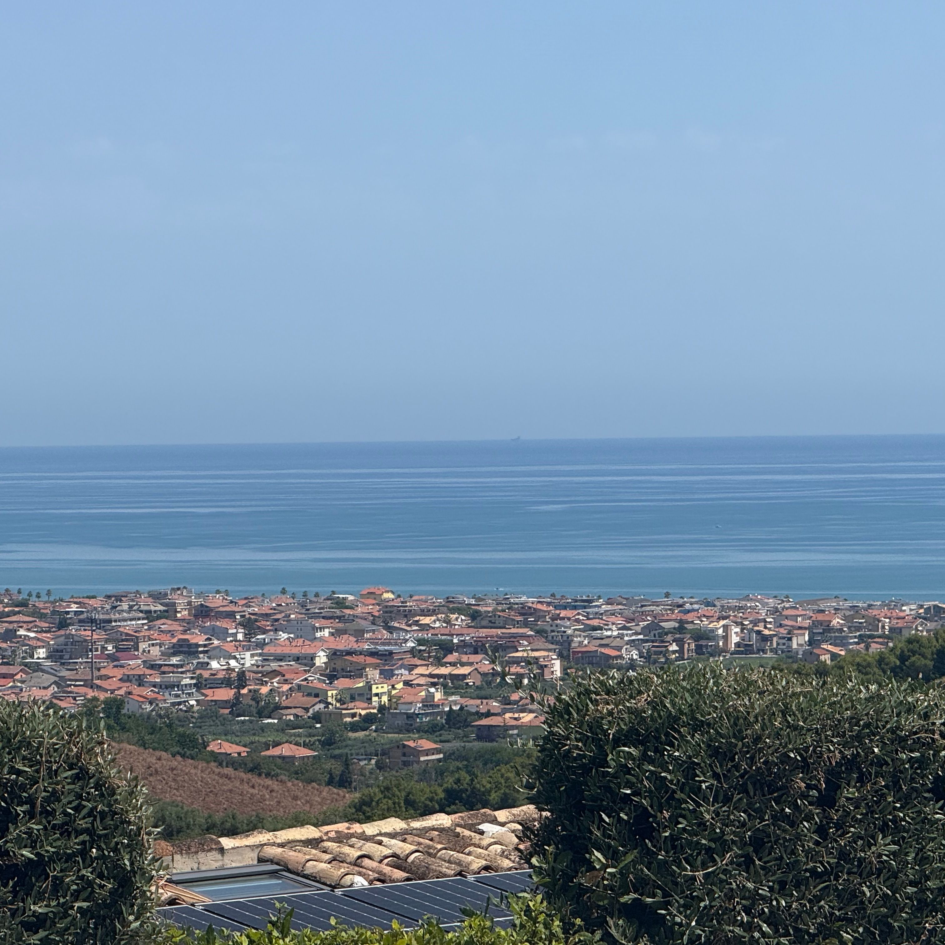 Profile image of roccoro