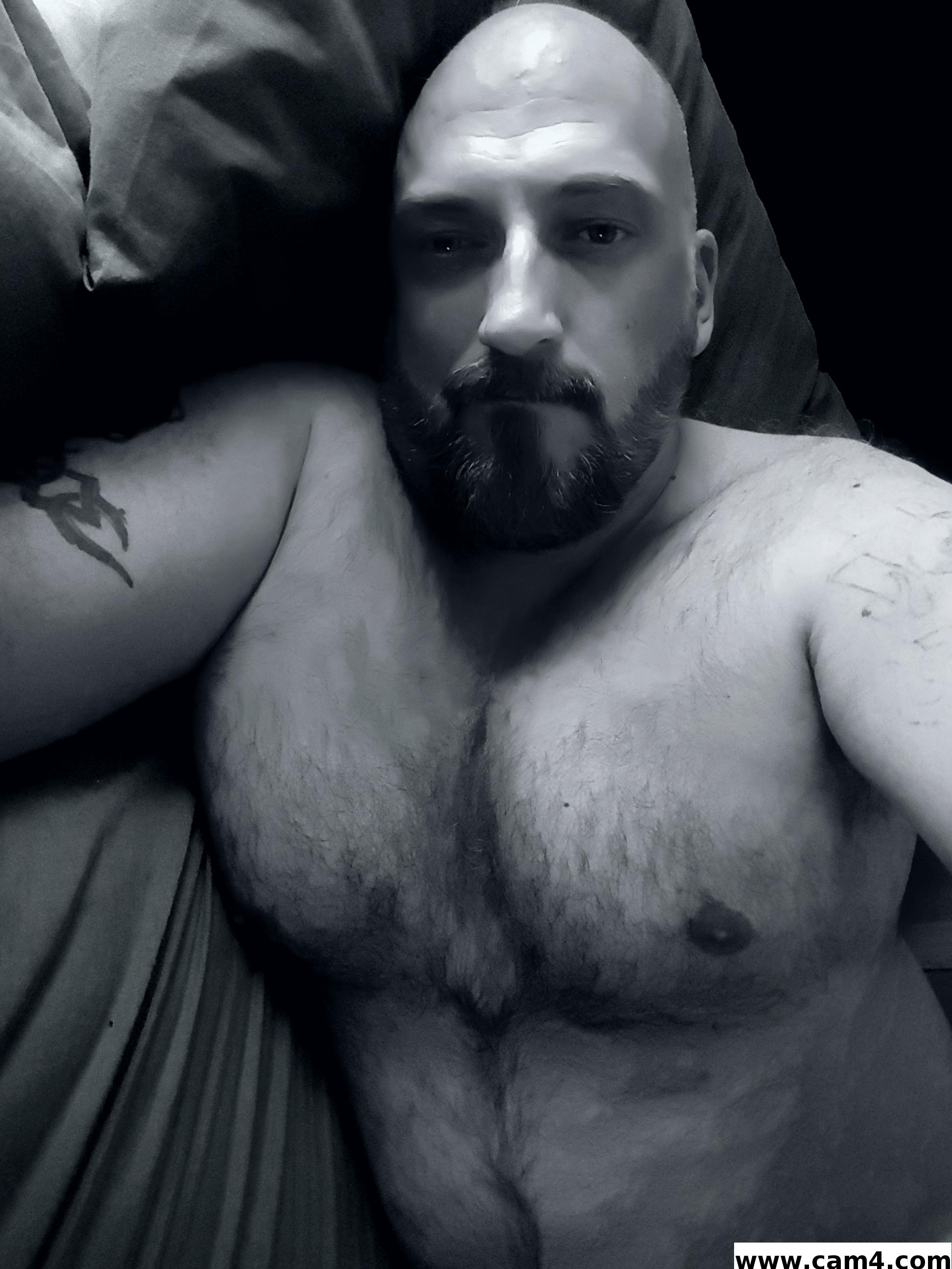 Profile image of rootbear72