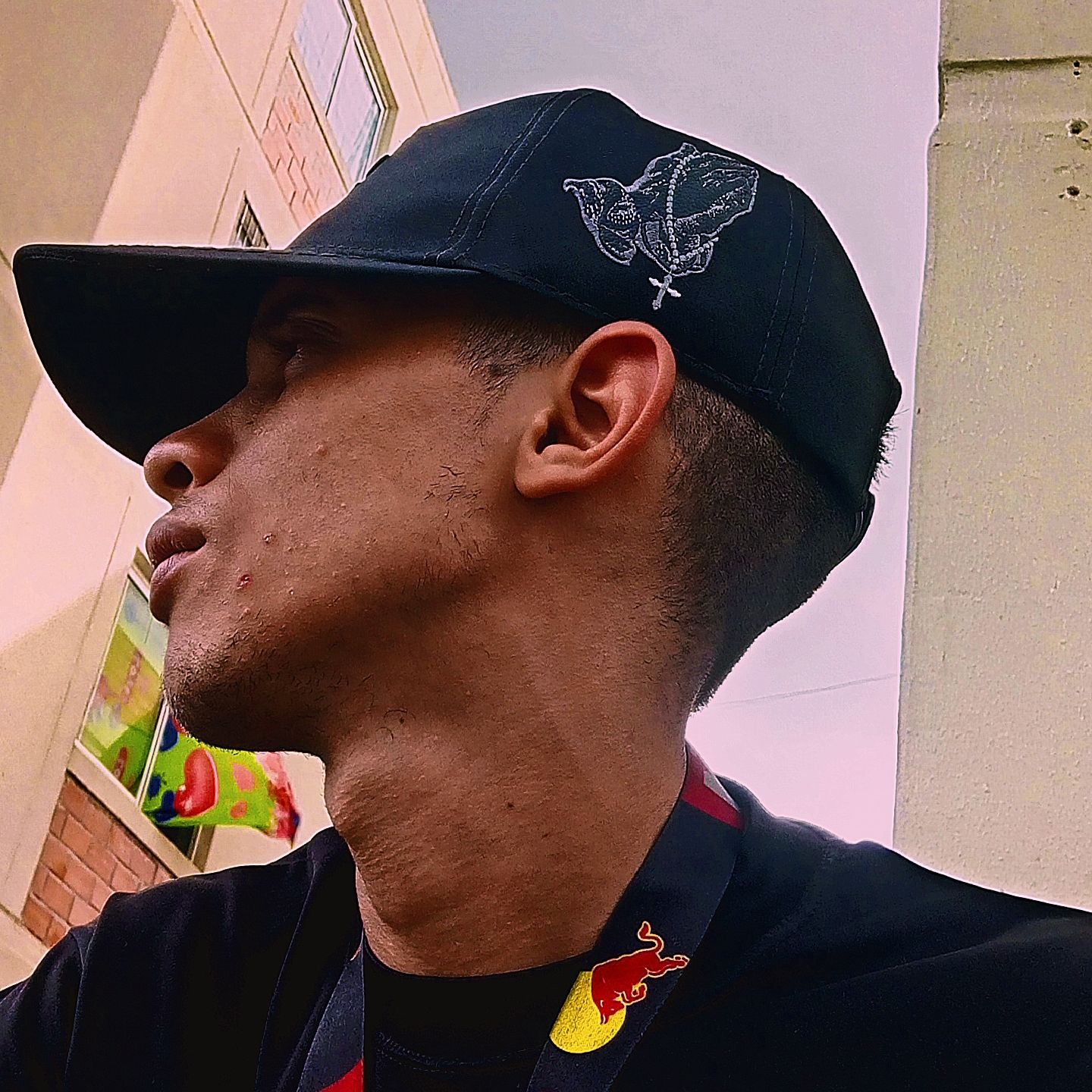 Profile image of rosmel666