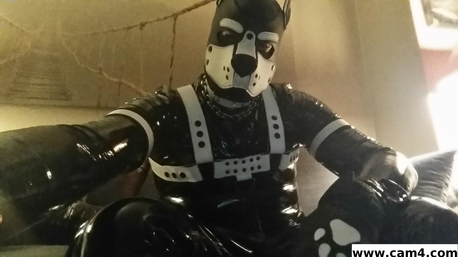 Profile image of rubberfly
