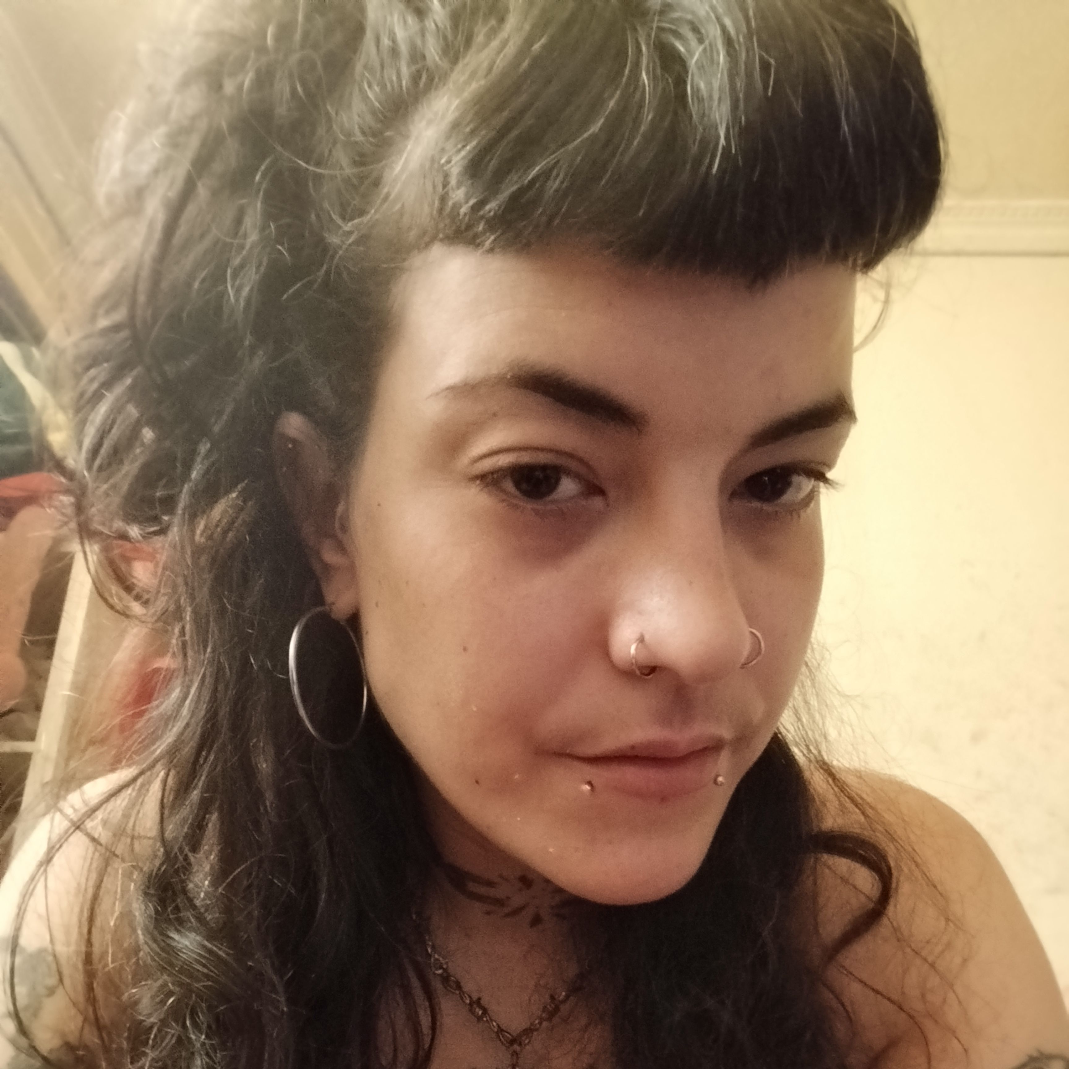 Profile image of saldfnuik