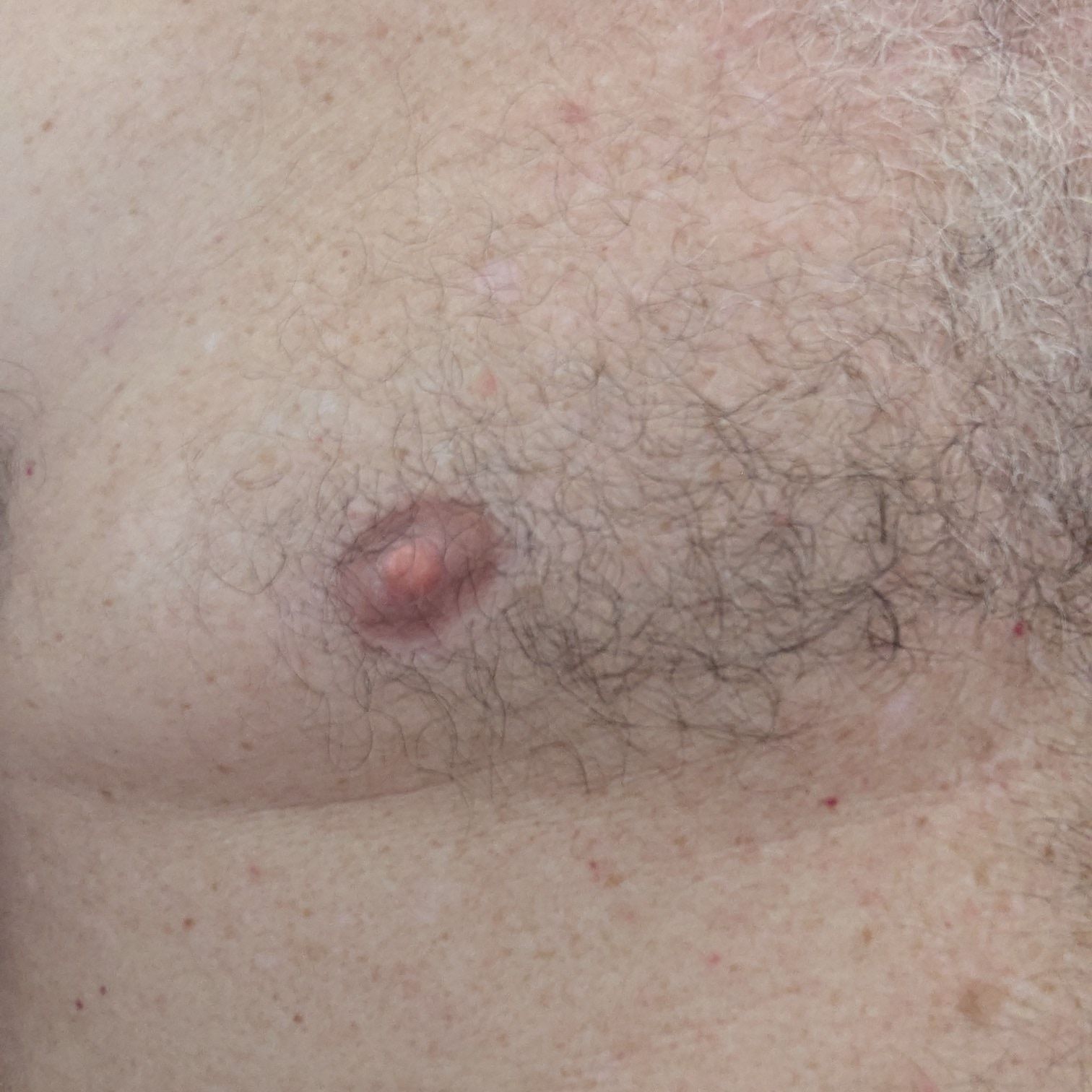Profile image of schiavo39