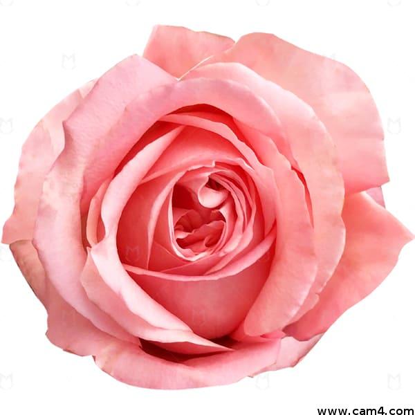 Profile image of sexdollxxxxx