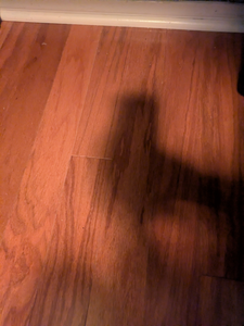 Profile image of sexydawg69p