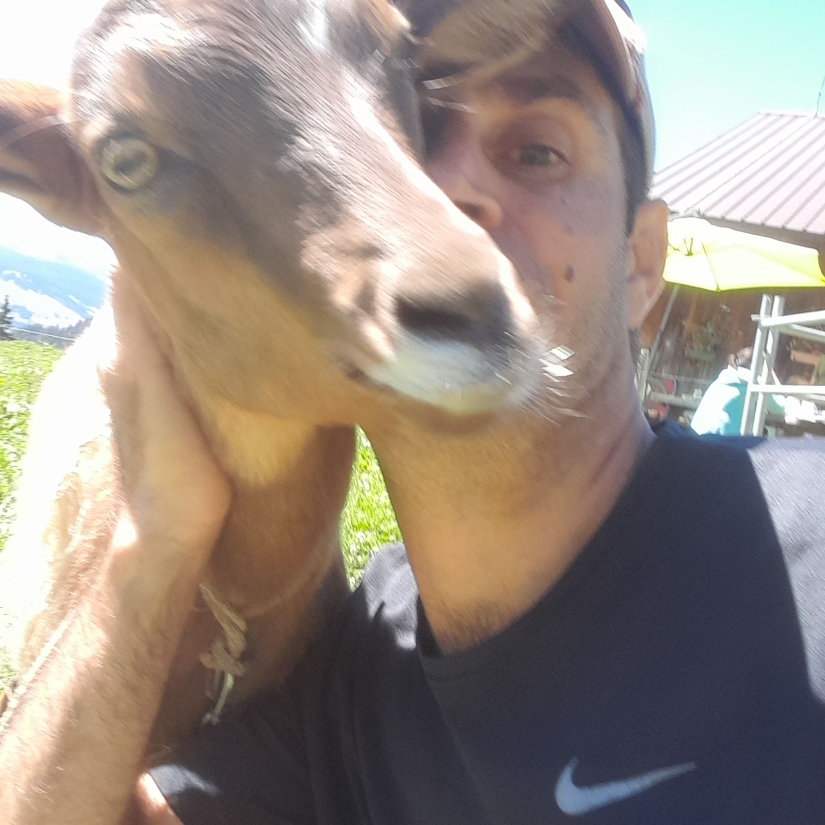 Profile image of siphilis