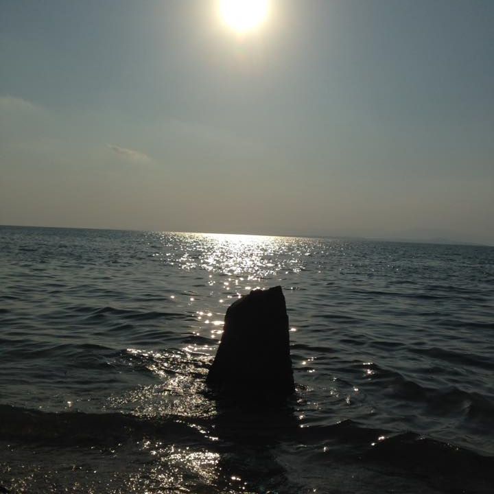 Profile image of teru_jpn