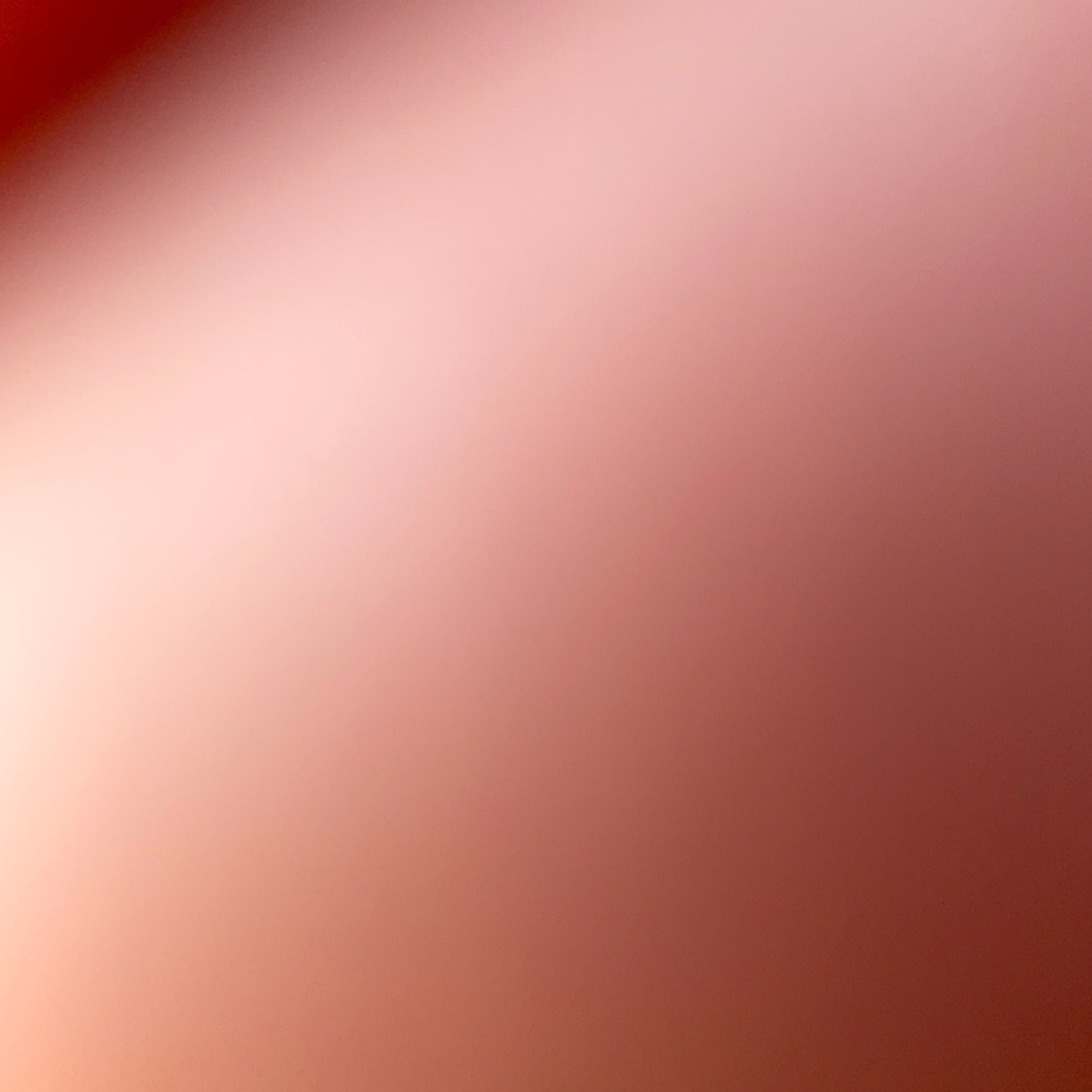 Profile image of thibault26xxx