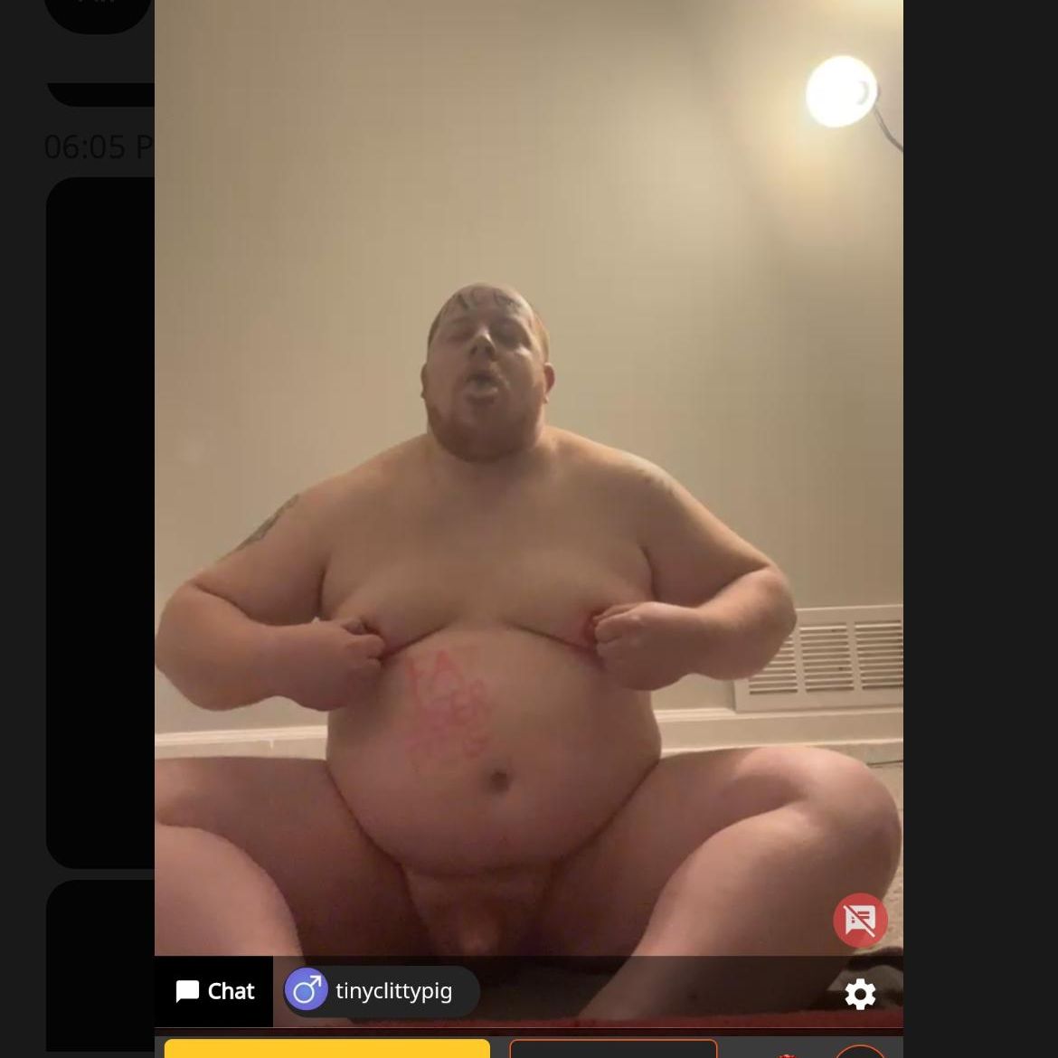 Profile image of tinyclittypig