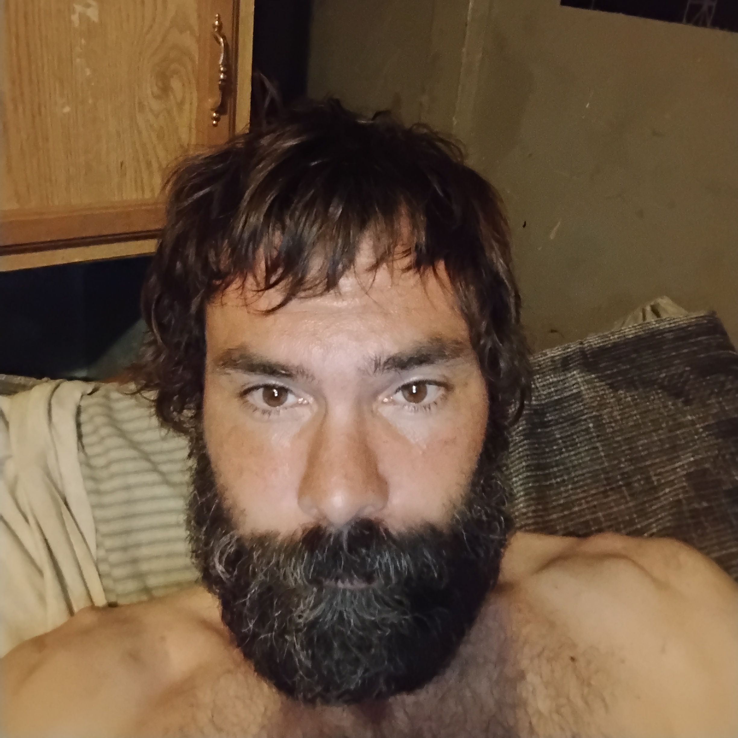 Profile image of toeeryy