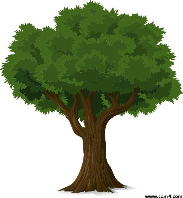 Profile image of waldbewohne