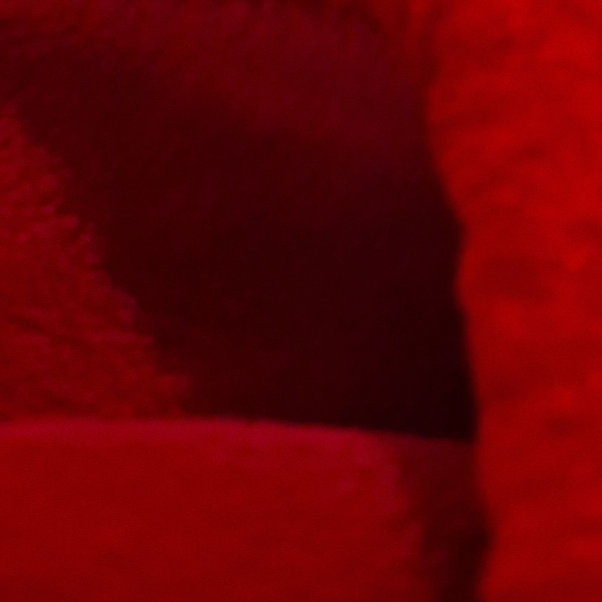 Profile image of xpenx4