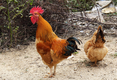 Profile image of xxbilly69xx