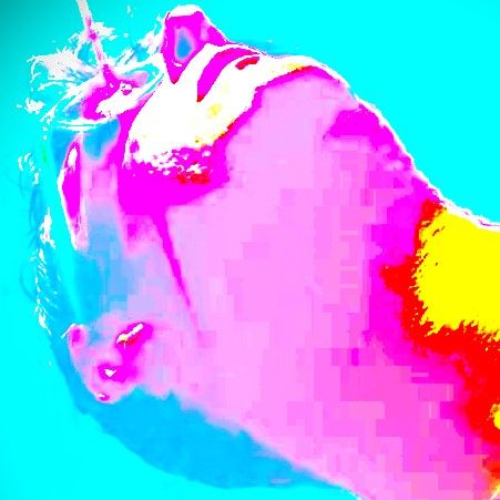 Profile image of zeusge2