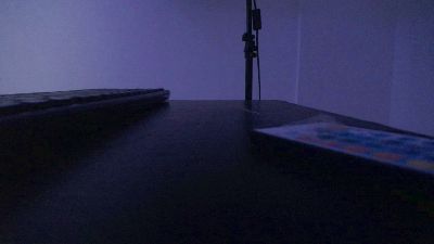 Charlir_cock_ from Colombia