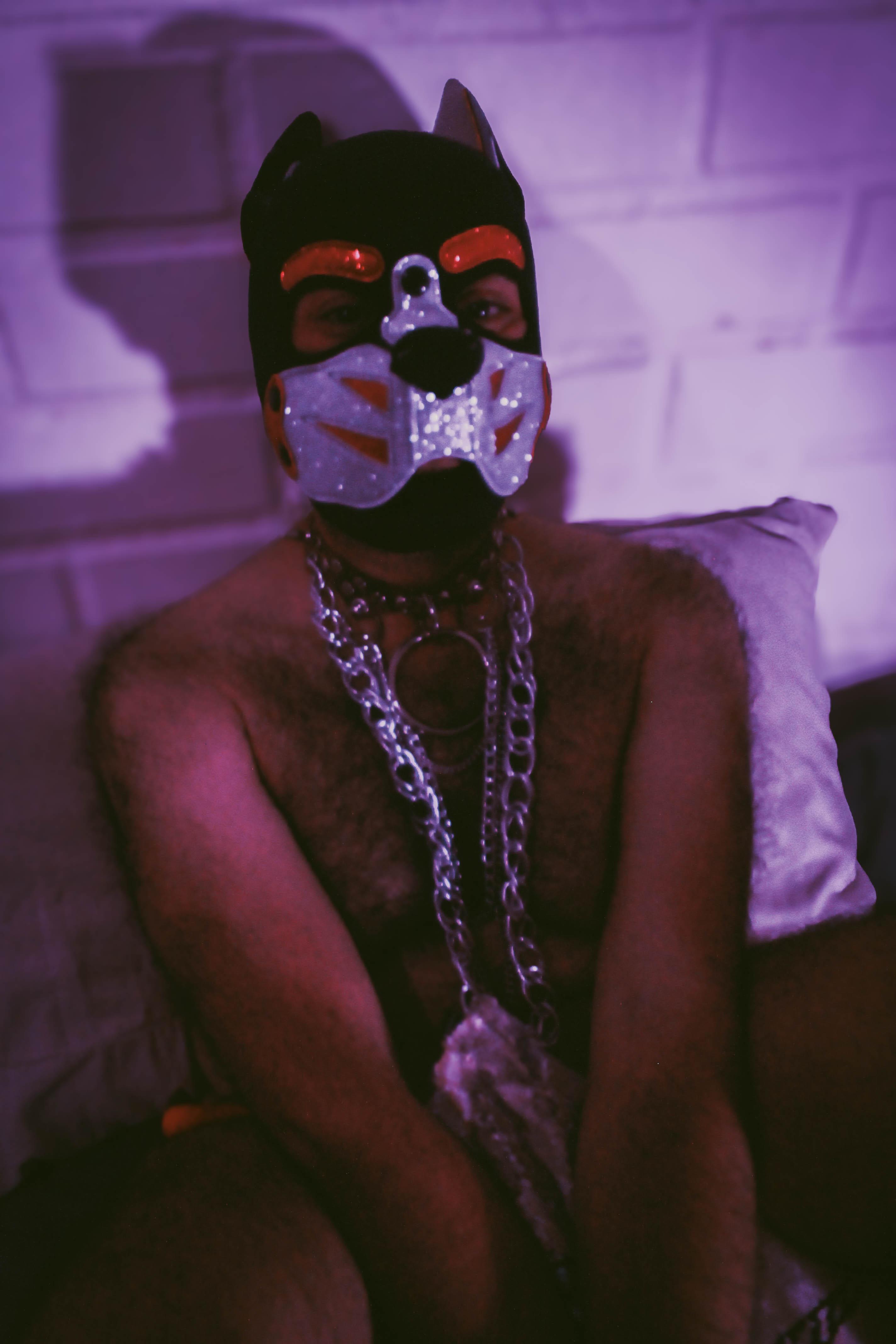Elpuppy1's Profile