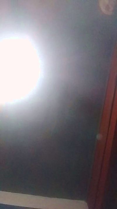 Losreyesdelmar's Profile