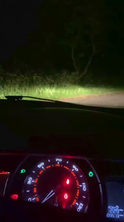 Outandabout85's Profile