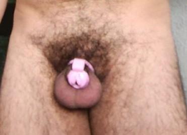 Putillaparauso Profile Image