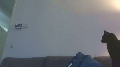 Rickert_88 from Netherlands