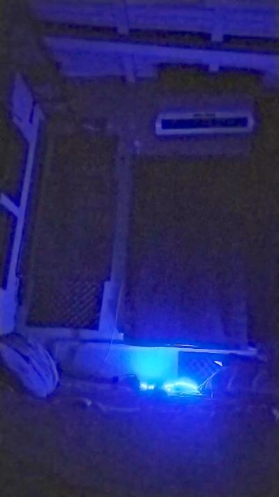 eltorotano from Argentina