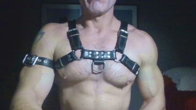 horny__pig from United States