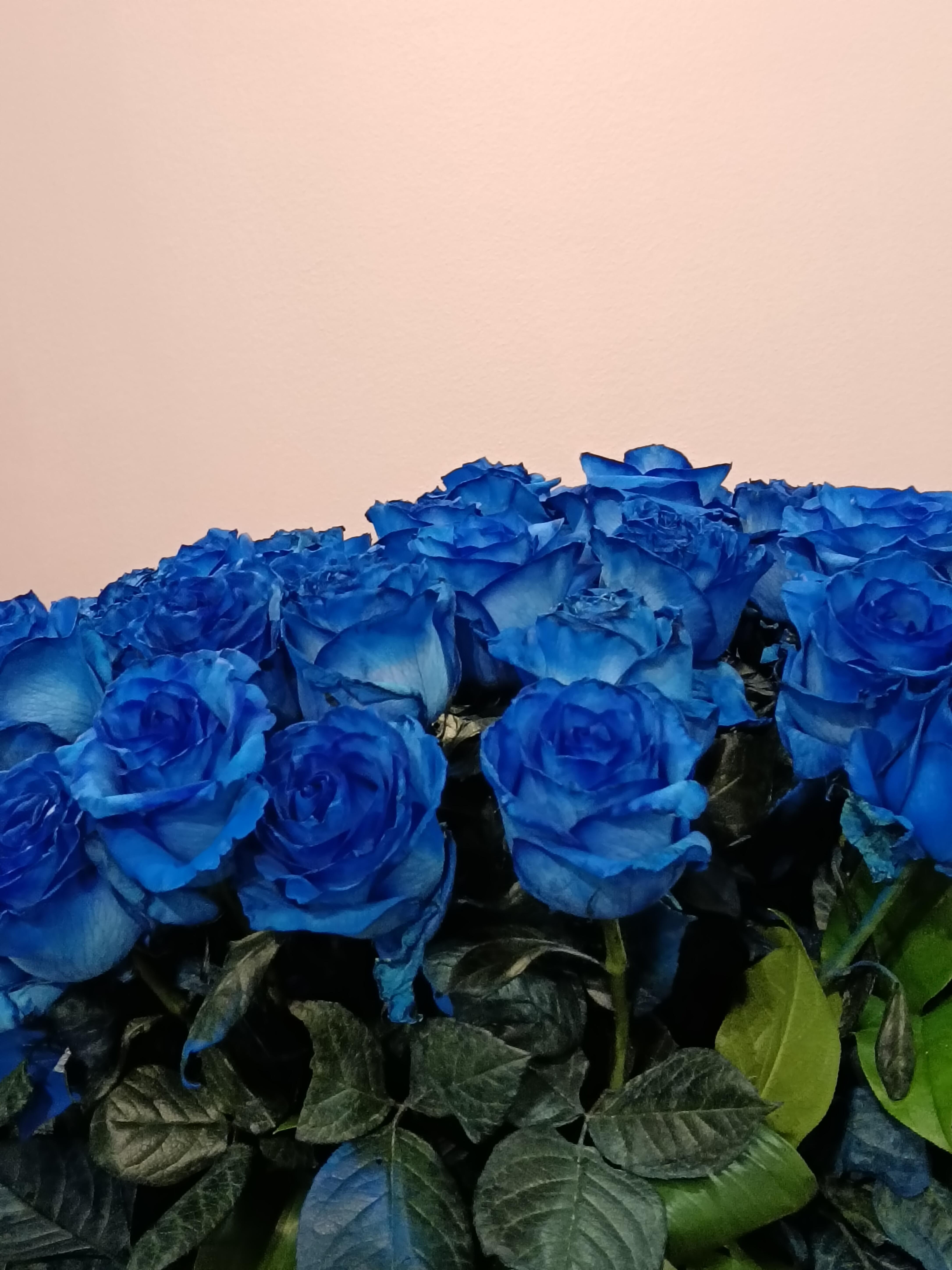 pistike39's Profile