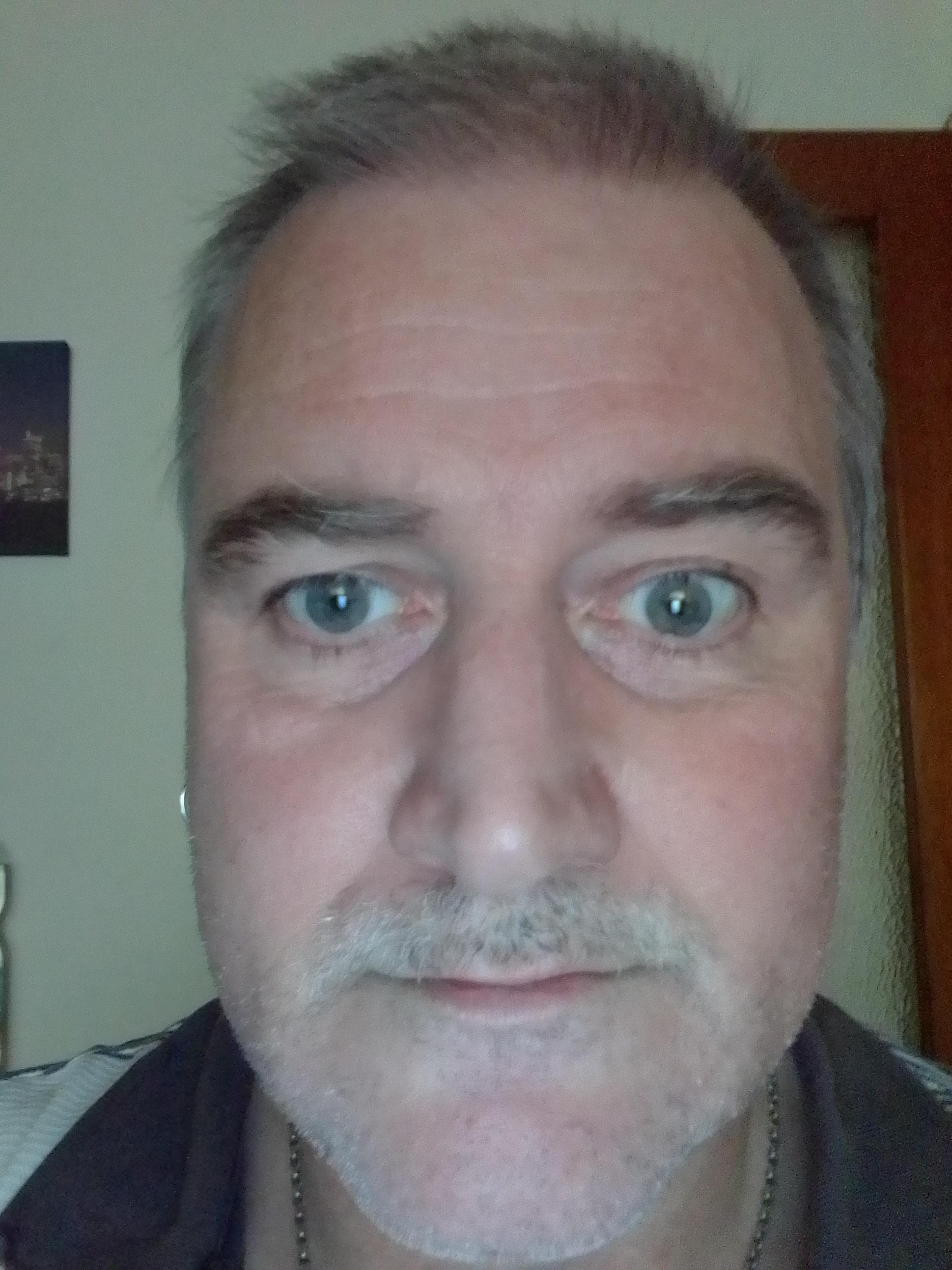 rebut's Profile