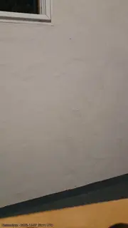 Gataonlyxx live snapshot on Voice Chat Line from Argentina