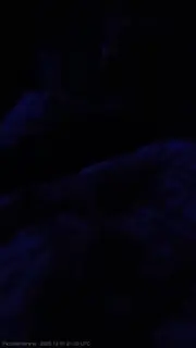 Piccolamamma live snapshot on Voice Chat Line from Italie