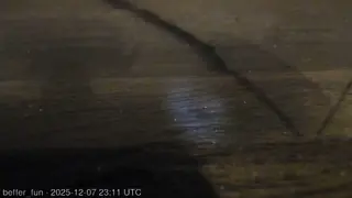 beffer_fun live snapshot on Voice Chat Line from Bélgica