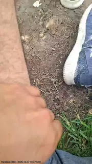 francisco1862 live snapshot on Voice Chat Line from Chile